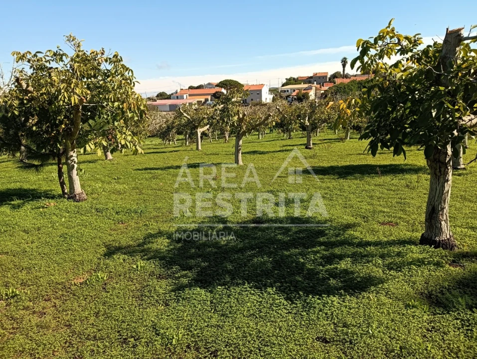 Terreno para Venda em Sesimbra (Castelo) Foto 1