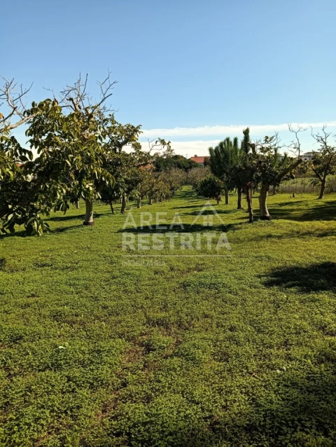 Terreno para Venda em Sesimbra (Castelo)