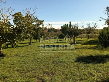 Terreno para Venda em Sesimbra (Castelo)
