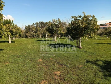 Terreno para Venda em Sesimbra (Castelo)