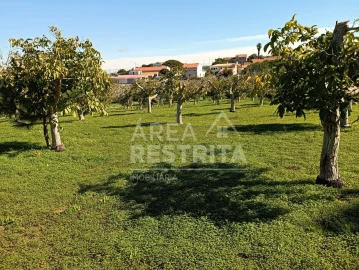 Terreno para Venda em Sesimbra (Castelo)