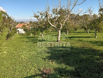 Terreno para Venda em Sesimbra (Castelo)