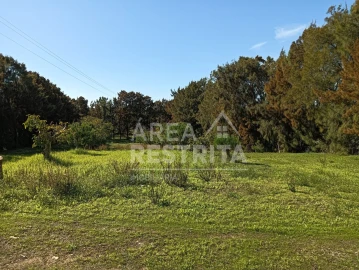 Terreno para Venda em Sesimbra (Castelo)
