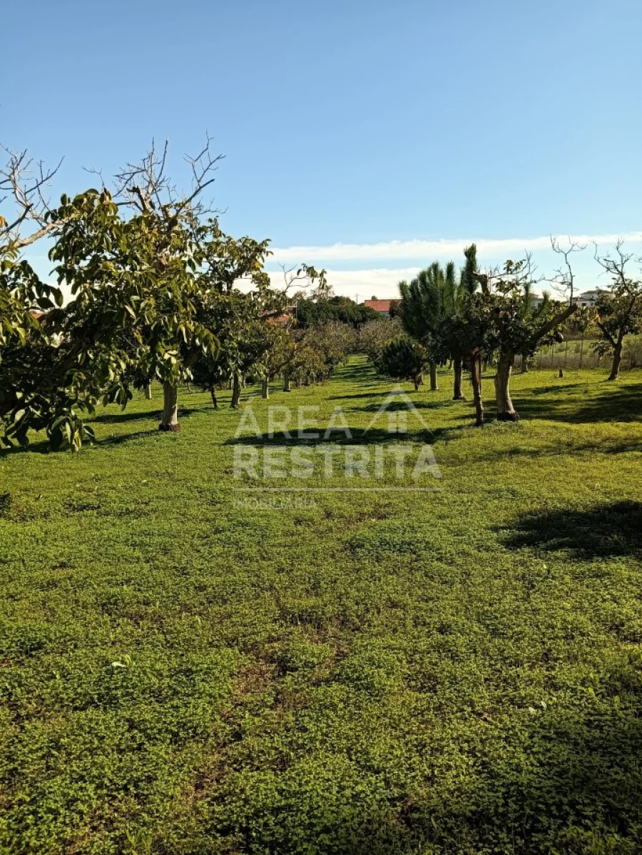 Terreno para Venda em Sesimbra (Castelo) Foto 4
