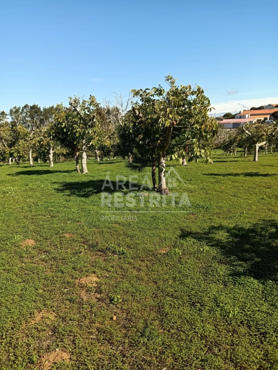 Terreno para Venda em Sesimbra (Castelo) Foto 7