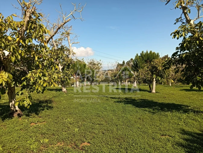 Terreno para Venda em Sesimbra (Castelo) Foto 9