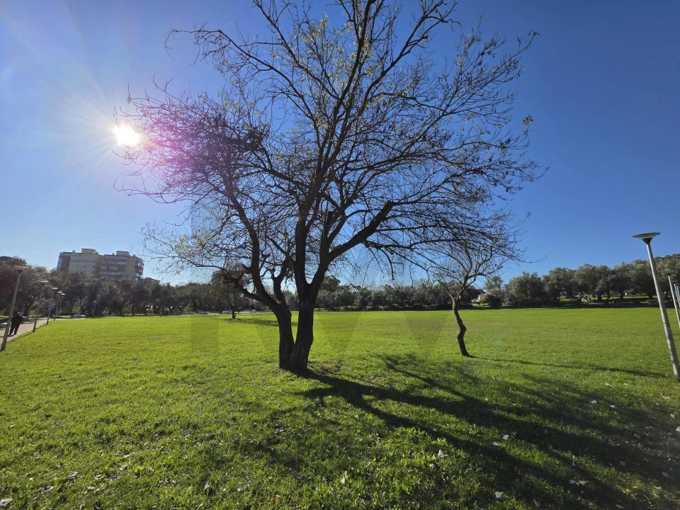 Apartamento T2 para Venda em Cascais e Estoril Foto 24