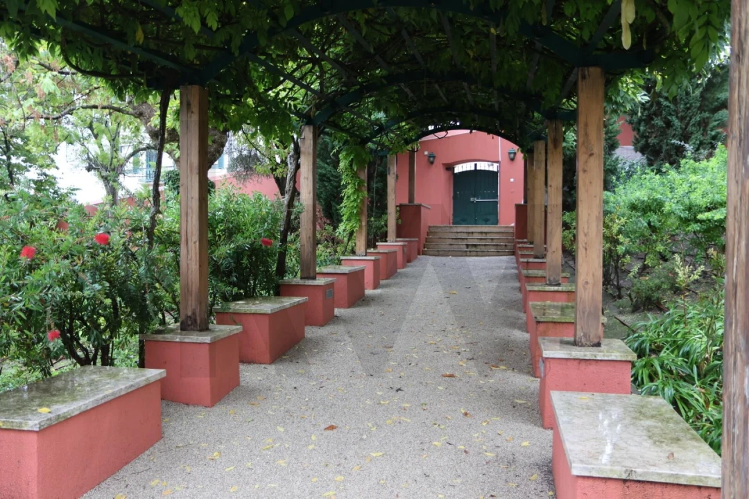 Apartamento T1 para Arrendamento em Estrela Foto 19