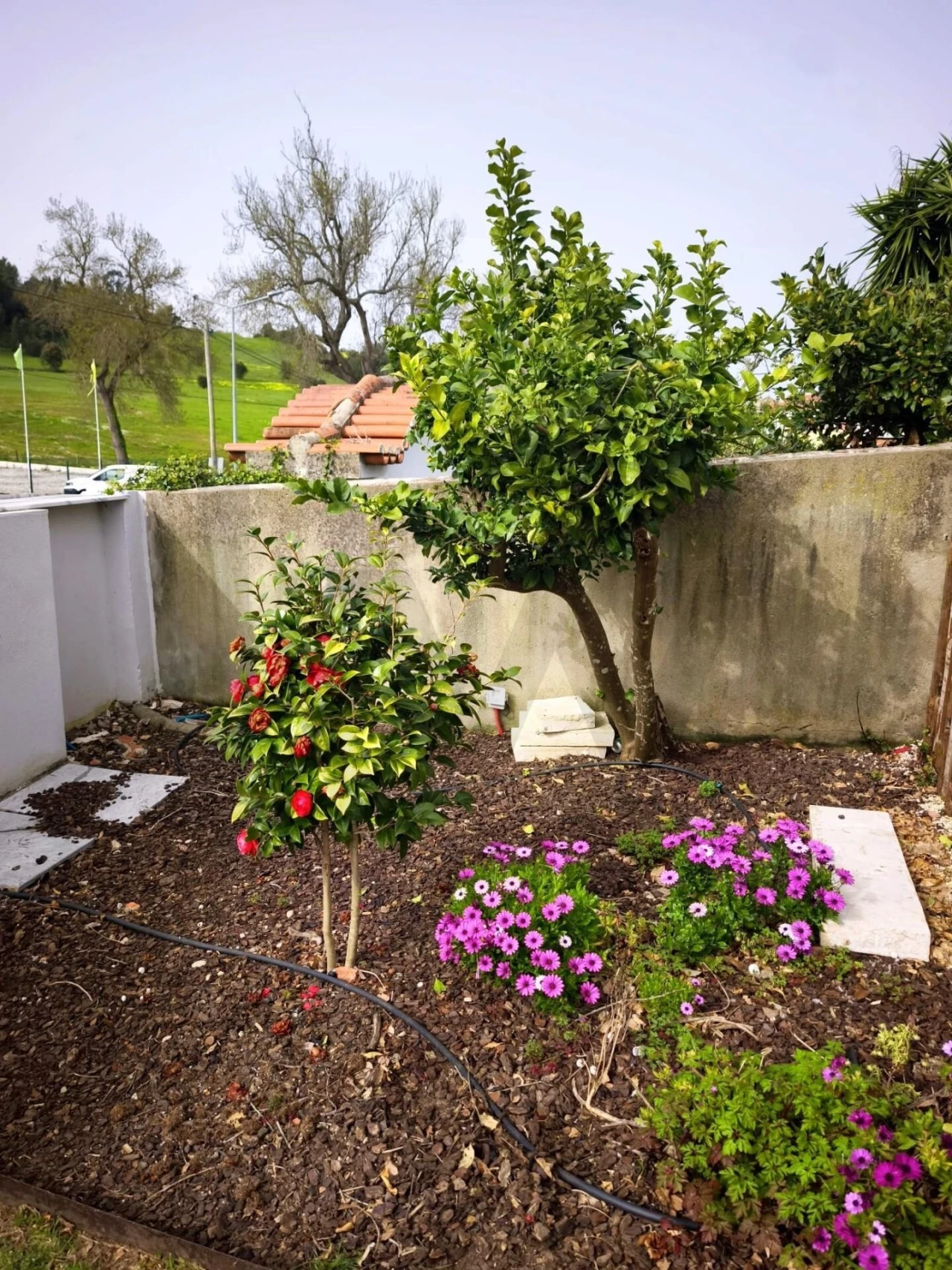 Apartamento T3 para Arrendamento em Enxara do Bispo, Gradil e Vila Franca do Rosário Foto 2