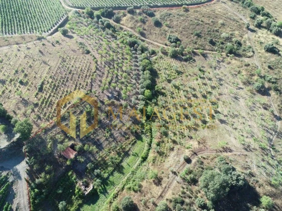 Terreno para Venda em Freixo de Espada a Cinta e Mazouco Foto 3