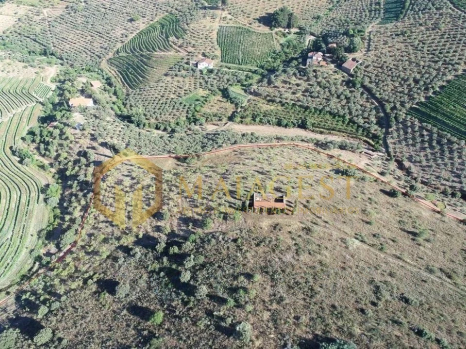 Terreno para Venda em Freixo de Espada a Cinta e Mazouco Foto 6