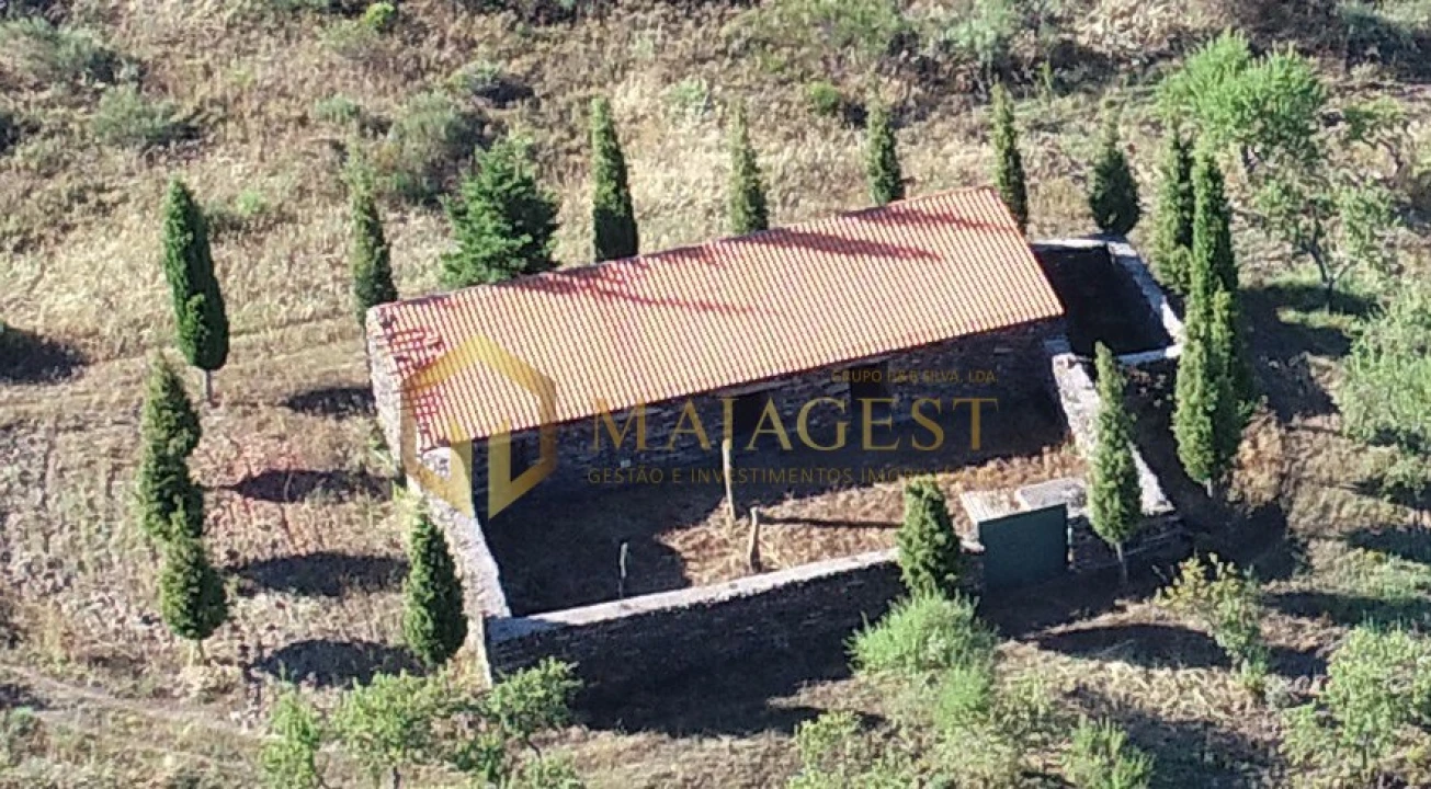 Terreno para Venda em Freixo de Espada a Cinta e Mazouco Foto 11