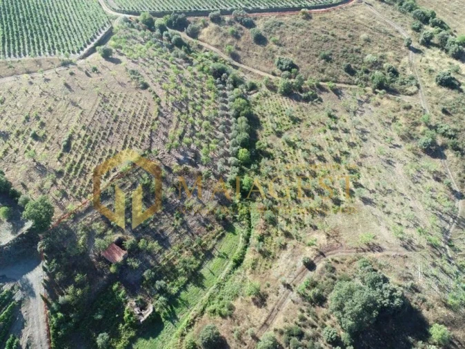 Terreno para Venda em Freixo de Espada a Cinta e Mazouco Foto 3