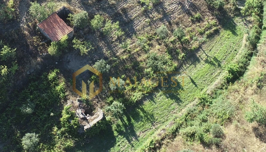 Terreno para Venda em Freixo de Espada a Cinta e Mazouco Foto 10