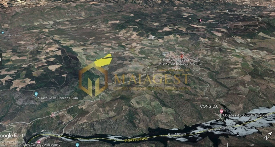 Terreno para Venda em Freixo de Espada a Cinta e Mazouco Foto 12