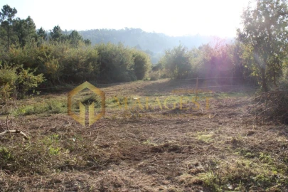 Terreno para Venda em Pedroso e Seixezelo
