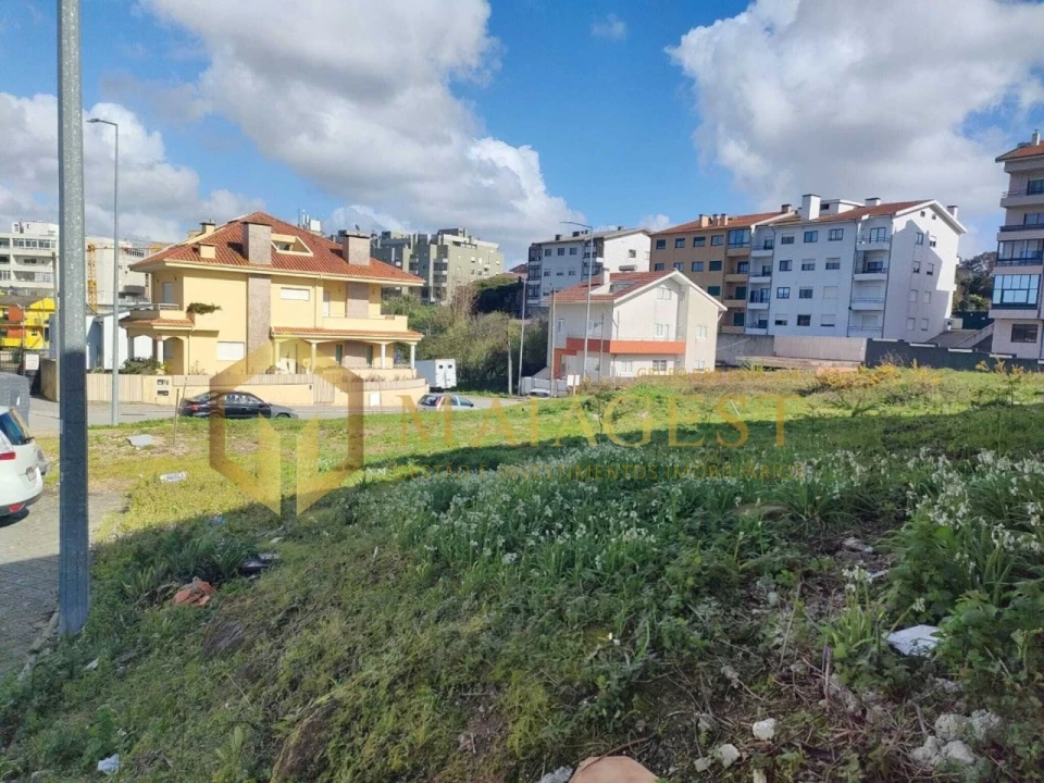 Terreno para Venda em Oliveira do Douro Foto 4