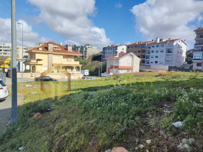 Terreno para Venda em Oliveira do Douro Foto 4