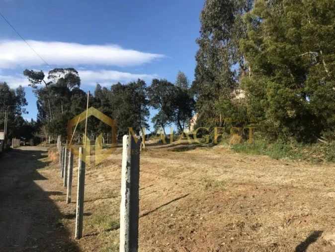 Terreno para Venda em São Felix da Marinha Foto 1
