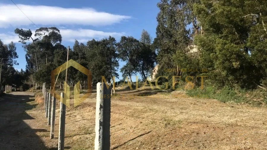 Terreno para Venda em São Felix da Marinha