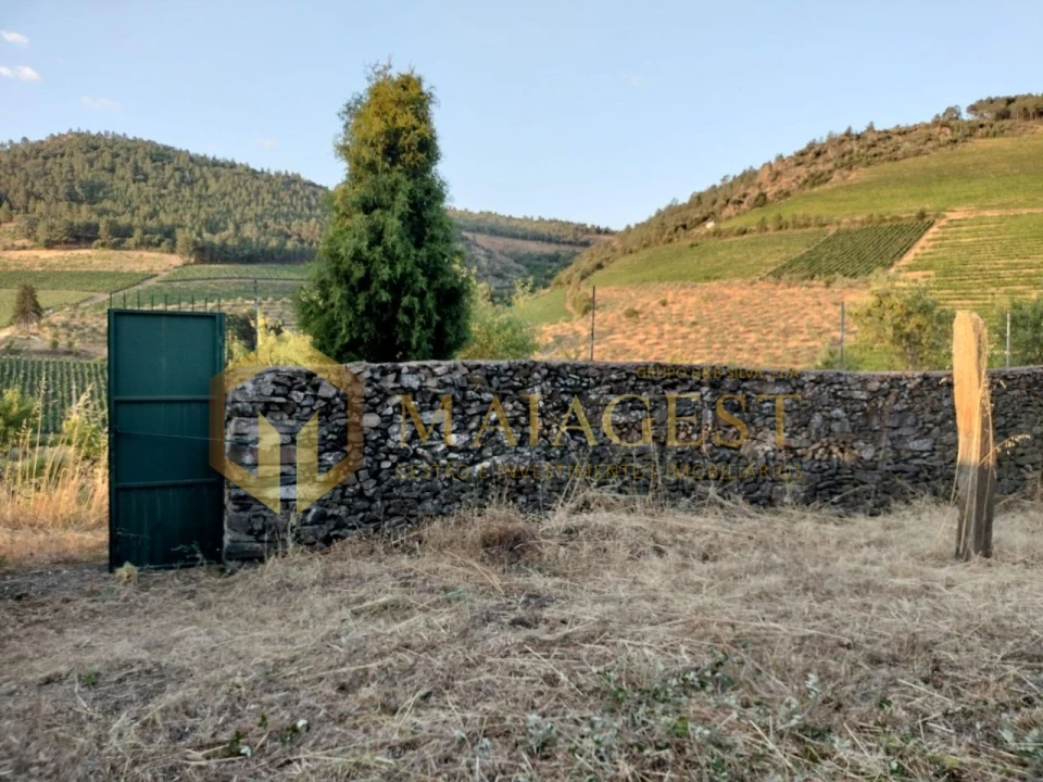 Terreno para Venda em Freixo de Espada a Cinta e Mazouco Foto 2