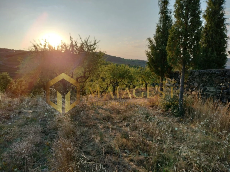 Terreno para Venda em Freixo de Espada a Cinta e Mazouco Foto 6
