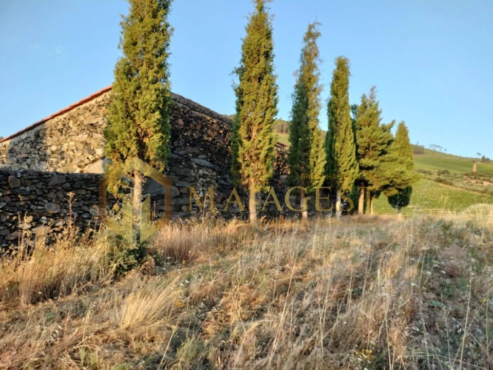 Terreno para Venda em Freixo de Espada a Cinta e Mazouco Foto 7