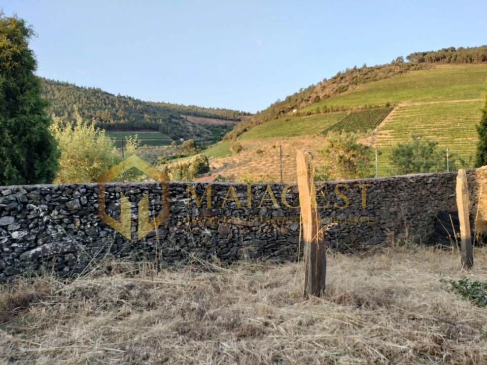 Terreno para Venda em Freixo de Espada a Cinta e Mazouco Foto 8