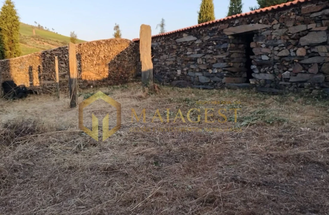 Terreno para Venda em Freixo de Espada a Cinta e Mazouco Foto 13