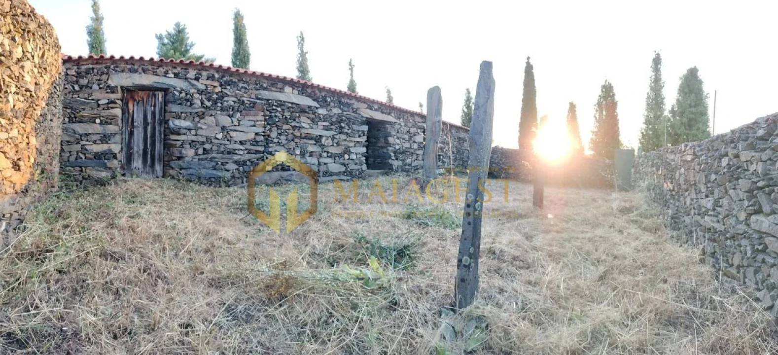 Terreno para Venda em Freixo de Espada a Cinta e Mazouco Foto 14