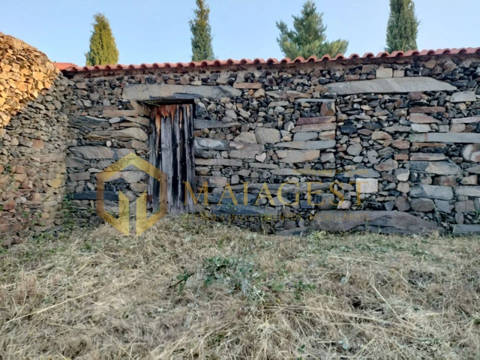 Terreno para Venda em Freixo de Espada a Cinta e Mazouco Foto 16