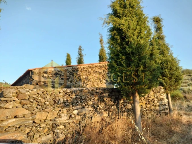 Terreno para Venda em Freixo de Espada a Cinta e Mazouco Foto 4