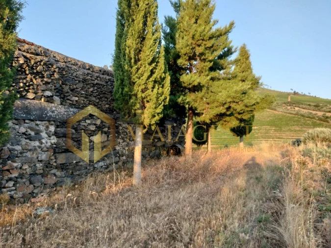 Terreno para Venda em Freixo de Espada a Cinta e Mazouco Foto 9