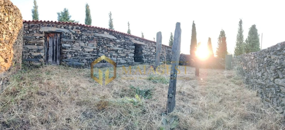 Terreno para Venda em Freixo de Espada a Cinta e Mazouco Foto 14