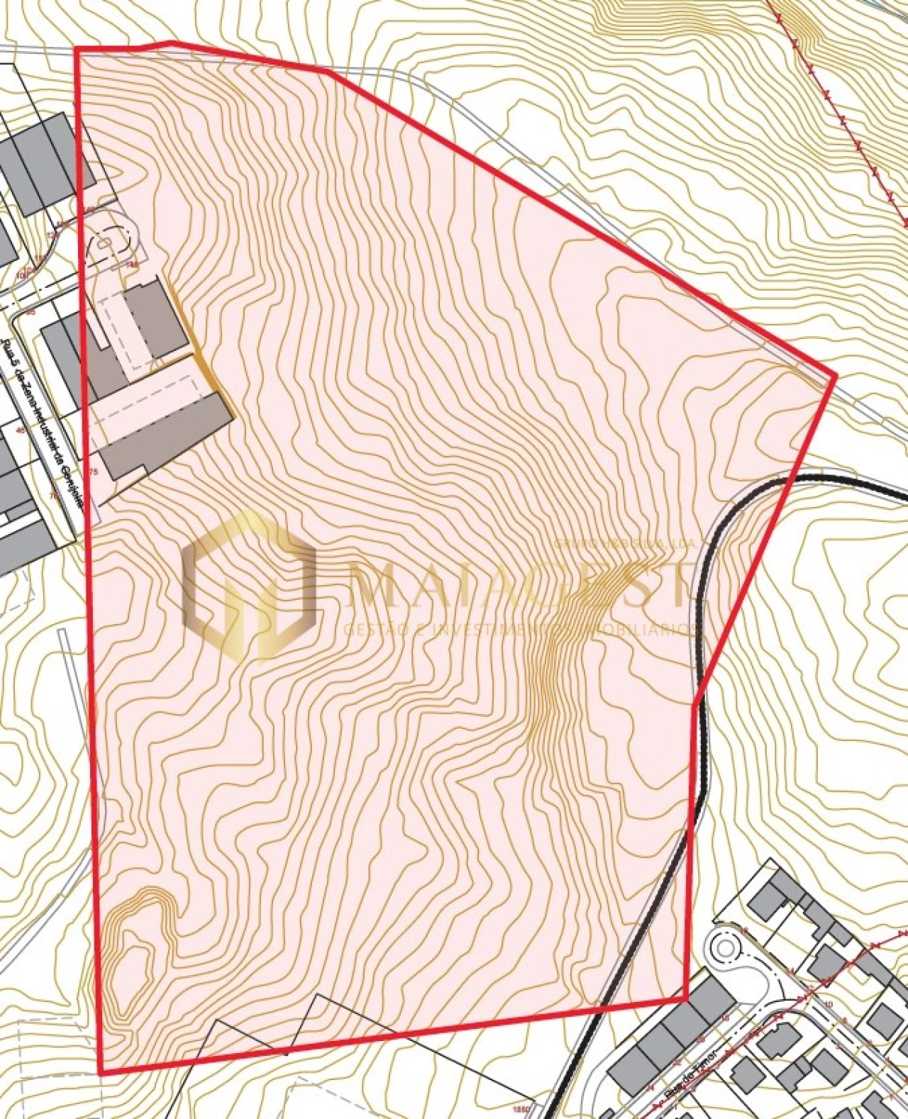 Terreno para Venda em São João de Ver Foto 6