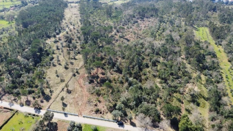 Terreno para Venda em Cernache