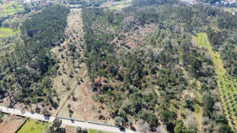 Terreno para Venda em Cernache