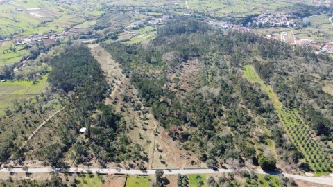 Terreno para Venda em Cernache
