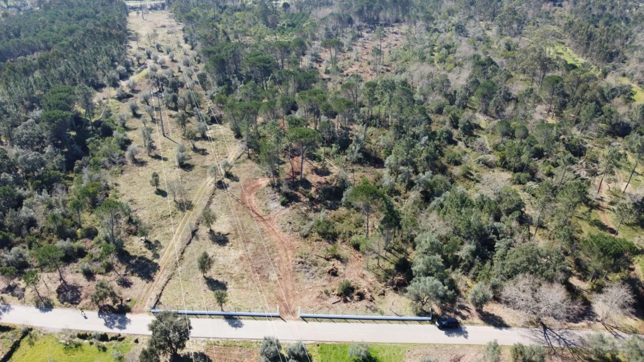 Terreno para Venda em Cernache Foto 1