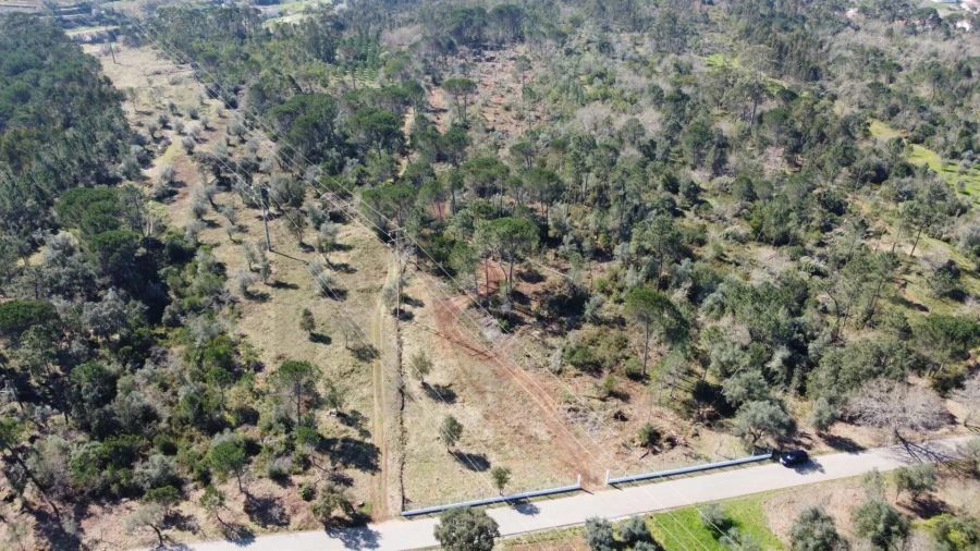 Terreno para Venda em Cernache Foto 2