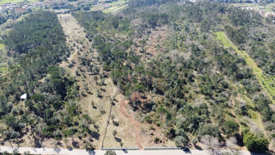 Terreno para Venda em Cernache Foto 8