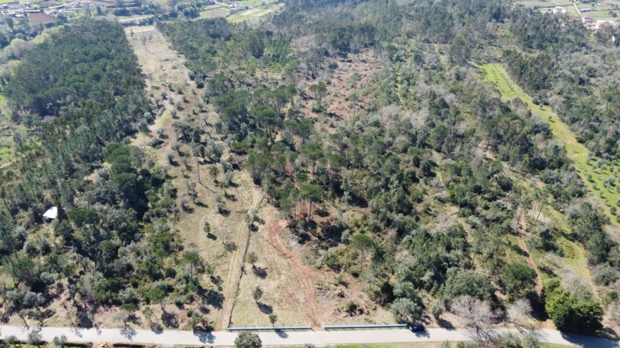 Terreno para Venda em Cernache Foto 5