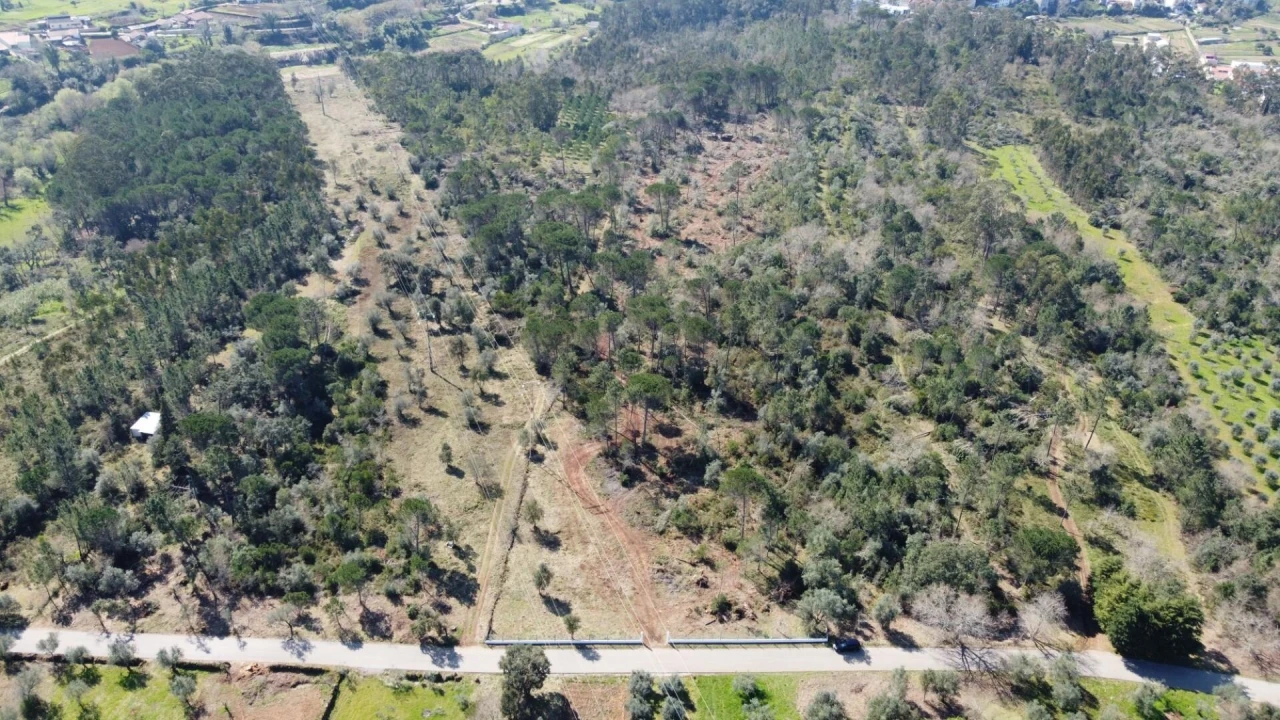 Terreno para Venda em Cernache Foto 7
