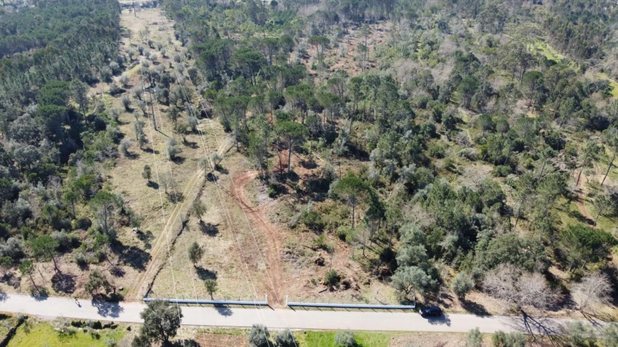 Terreno para Venda em Cernache