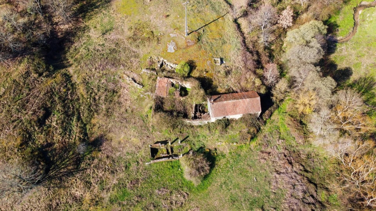 Quinta T5 para Venda em Avelãs de Ambom e Rocamondo Foto 8