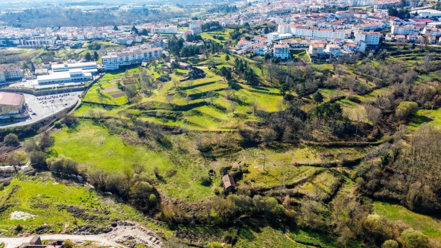 Quinta T5 para Venda em Avelãs de Ambom e Rocamondo Foto 9