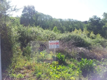 Terreno para Venda em Paredes