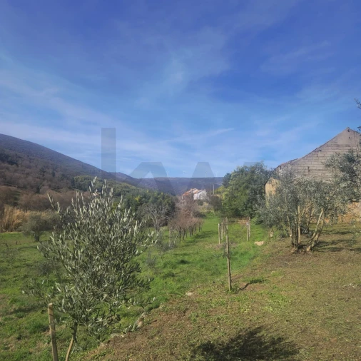 Quinta T2 para Venda em Vela Foto 22