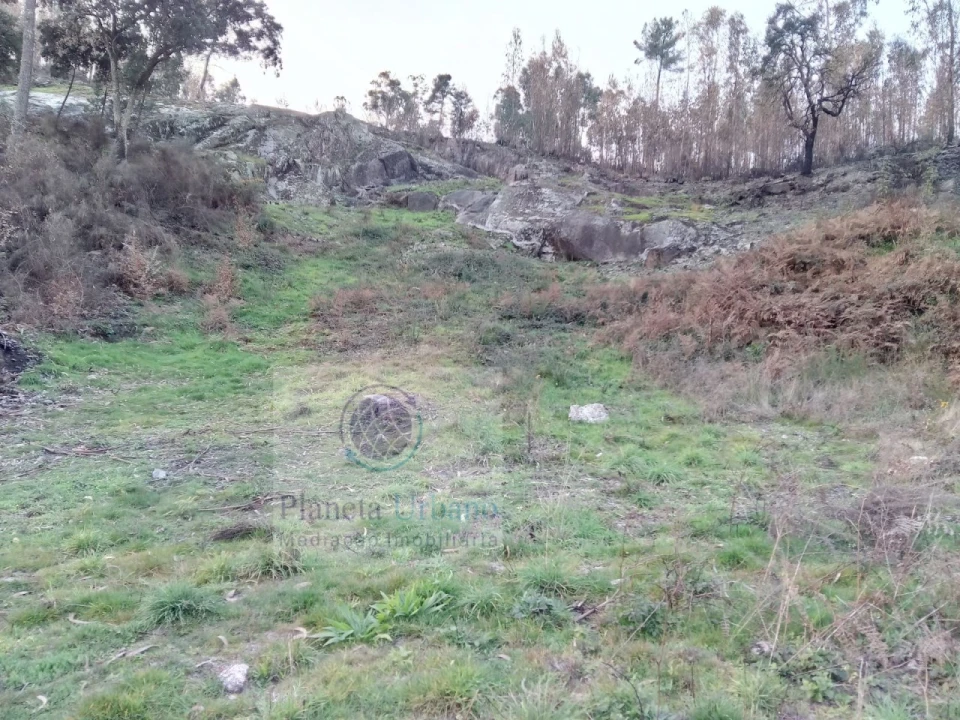 Terreno para Venda em Nevogilde Foto 2