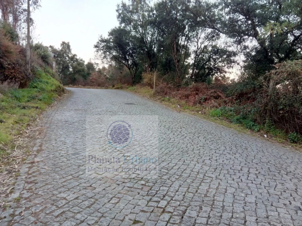 Terreno para Venda em Nevogilde Foto 3